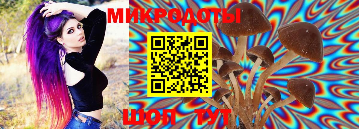 дарнет шоп  Вход с VPN  Советский  Галлюциногенные грибы Psilocybe 